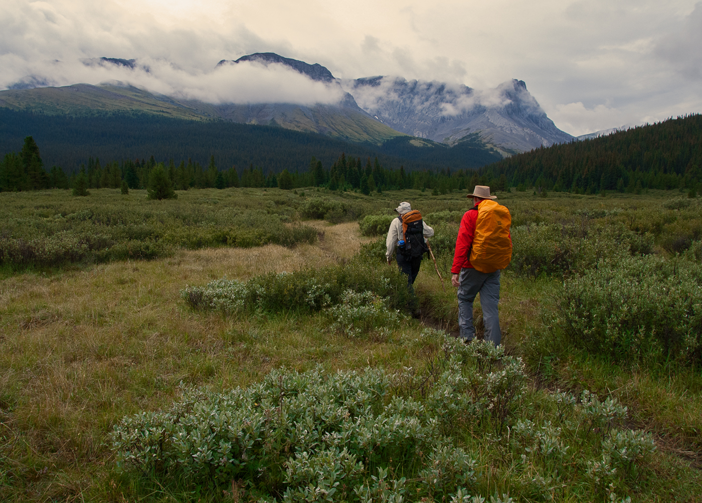 Willmore Wilderness Park, Rocky Mountains, Alberta, Canada